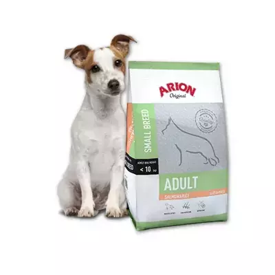 Arion Original Adult Small Breed Salmon&Rice 3kg